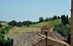 Appassionata, Fractional Ownership, Il Riposo, Patrignone, Le Marche, Italy