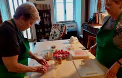 Preparing veal meat rolls