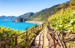 A walking path in the Cinque Terre