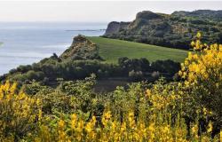 Experience Le Marche with its artisans and sustainable food sources with Italia Sweet Italia 1