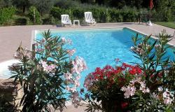 pool surrounded by flowers and vineyards