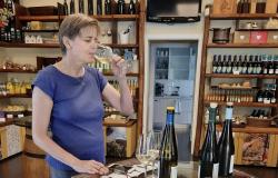 Learn Italian near Cinque Terre, living with you teacher