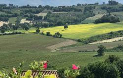 sweeping, vast views from the property