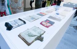 Maria Lai libri cuciti on display at the Biennale di Venezia 2017 / Photo: Kristina Kostova via Dreamstime