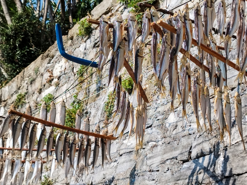Missoltini fish hanging out to dry