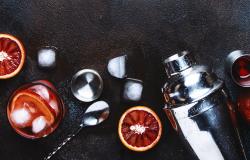 Components of a classic Negroni